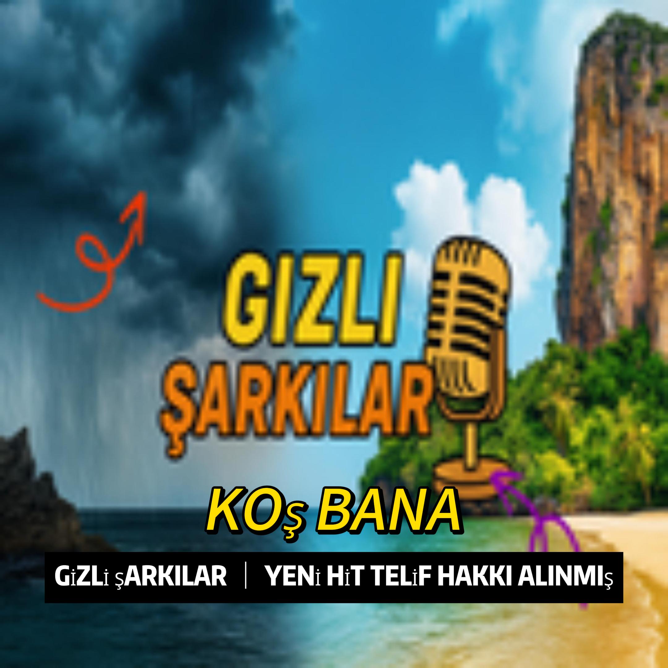 Gizli Şarkılar sanat çalışması